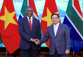 Việt Nam-Nam Phi còn nhiều dư địa để tăng cường hợp tác hiệu quả, thực chất