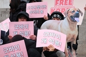 Quốc hội Hàn Quốc chính thức thông qua dự luật cấm buôn bán thịt chó