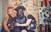 Hàn Quốc thông qua luật cấm tiêu thụ thịt chó Người Việt cưng yêu chó mừng lây