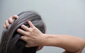 Bốn cách chăm sóc cơ thể giúp giảm tình trạng tóc bạc sớm, cải thiện sức khỏe da đầu