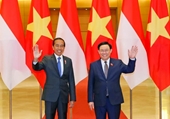 Thúc đẩy quan hệ Việt Nam-Indonesia đi vào thực chất và sâu rộng hơn
