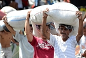 Philippines tiếp tục là nước nhập khẩu gạo hàng đầu trong năm 2024