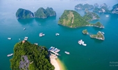 Không phải Phú Quốc hay Đà Nẵng, đây là bãi biển Việt Nam đẹp nhất thế giới
