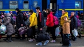 Anh gia hạn thị thực cho người tị nạn Ukraine đủ điều kiện ở lại hợp pháp