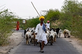 Ấn Độ có thể đã xử lý xong tình trạng “nghèo cùng cực”