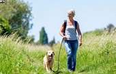 Nghiên cứu tìm ra số bước tuổi 50 nên đi bộ mỗi ngày