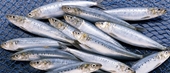 Loại cá bổ sung collagen làm đẹp da và góp phần giảm cân