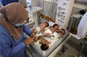WHO báo động tình trạng trẻ sơ sinh ở Dải Gaza tử vong do thiếu cân