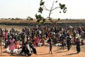 Hội đồng Bảo an LHQ thảo luận về xung đột và khủng hoảng lương thực ở Sudan