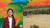 Trẻ em dẫn chương trình bản tin thời tiết cảnh báo về khủng hoảng khí hậu