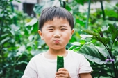 Những loại rau củ tốt cho trí não, trẻ nào cũng cần ăn