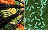 Thời tiết nắng nóng, chú ý 5 loại thực phẩm dễ nhiễm vi khuẩn Listeria có thể gây ngộ độc