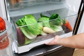 3 ổ vi khuẩn trong tủ lạnh ít được người dùng vệ sinh