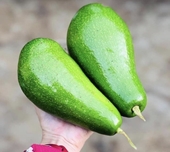 Loại trái cây được chứng minh giúp giảm mỡ bụng và mỡ nội tạng hiệu quả