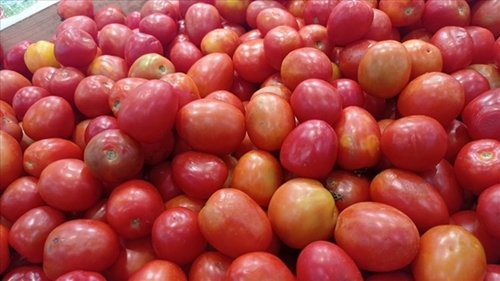 Lợi ích của cà chua với người cao huyết áp