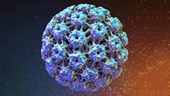 Virus HPV là gì Con đường lây nhiễm HPV và những biểu hiện