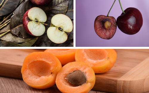 4 loại trái cây không nên ăn hạt vì chứa chất độc, có loại còn gây hôn mê do hạ đường huyết