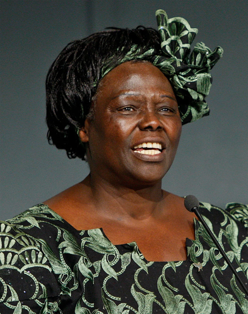 Người phụ nữ châu Phi đầu tiên được trao Giải Nobel Hòa bình