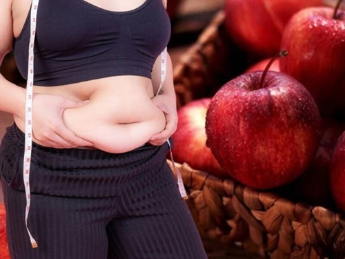 2 tác dụng của việc ăn táo mỗi ngày trong việc giảm lipid máu, mỡ nội tạng