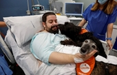 Chó trị liệu - Liệu pháp giúp cải thiện tinh thần, sức khỏe của người bệnh