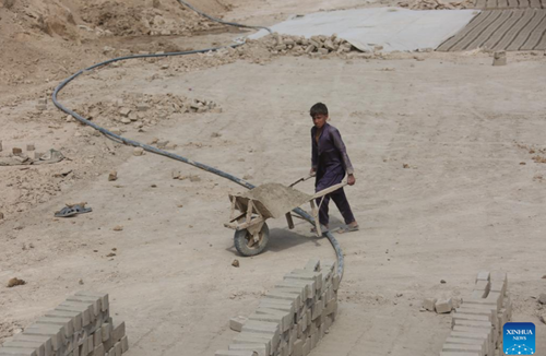 Afghanistan Hơn 19 trẻ em phải tham gia lao động để giúp gia đình