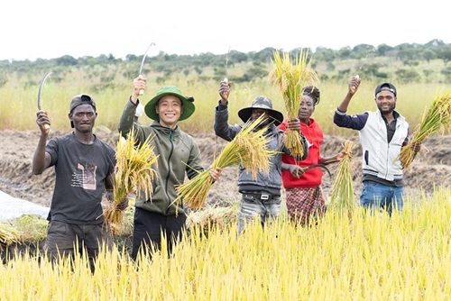 Quang Linh Vlogs và nhóm châu Phi Gieo mùa vàng ở Angola