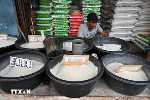 Không đáp ứng đủ nhu cầu gạo, Indonesia tìm cách đa dạng hóa nguồn lương thực