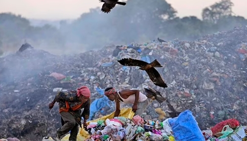 Những người nhặt rác ở Ấn Độ khốn khổ trong thời tiết khắc nghiệt