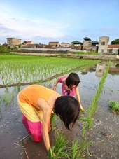 Mùa hè không điện thoại Về quê, các con bơ luôn cha mẹ