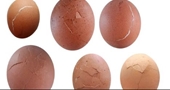 Trứng có màu lạ sau khi luộc có an toàn