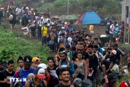 Hơn 3 000 người di cư khởi hành từ Mexico hướng tới nước Mỹ