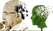 Xét nghiệm máu chẩn đoán chính xác bệnh Alzheimer lên tới 90