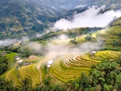 Ruộng bậc thang Hoàng Su Phì ‘Bức tranh’ thổ cẩm đầy sắc màu giữa lưng chừng trời