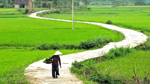 “Sao lâu quá bây chưa về thăm vú ”