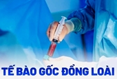 Tế bào gốc không có khả năng chữa bách bệnh