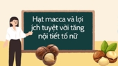 Hạt macca và lợi ích tăng nội tiết tố nữ