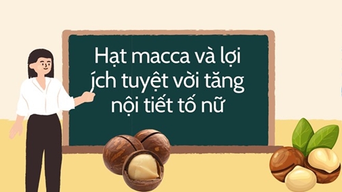 Hạt macca và lợi ích tăng nội tiết tố nữ