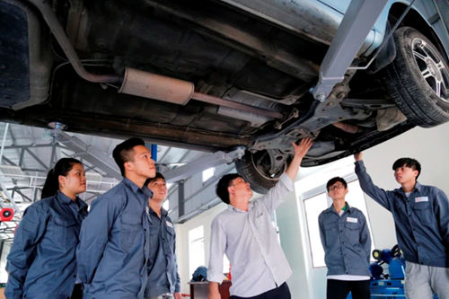 Tuyển lao động sang Đan Mạch lương hơn trăm triệu